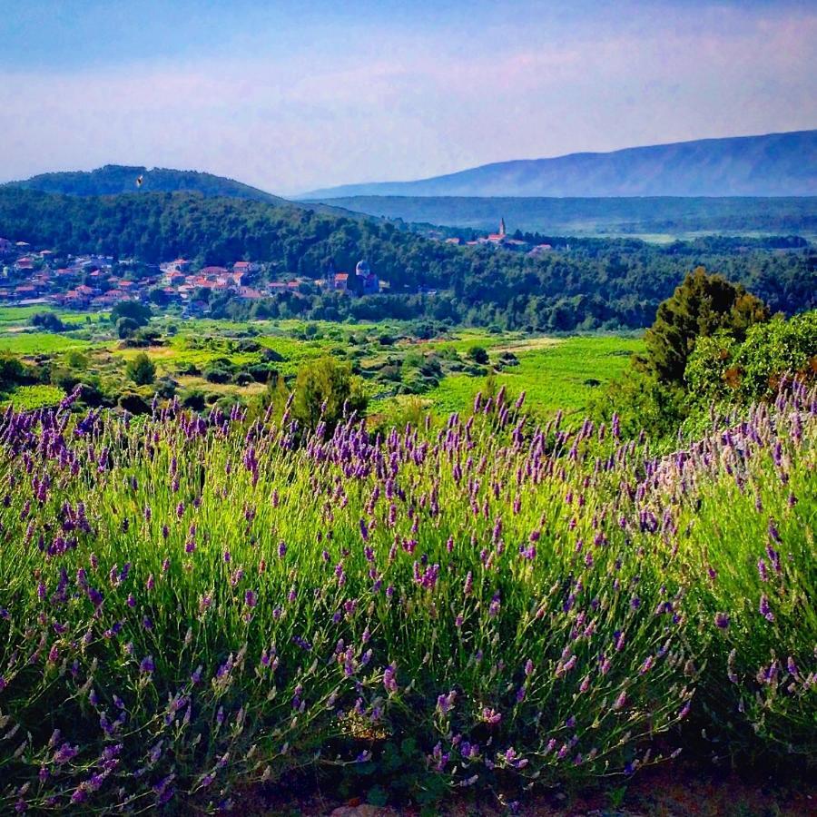 Villa Veli Nova Bed & Breakfast